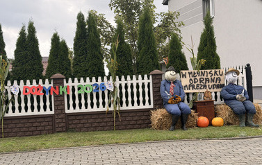 Dożynki Gminno - Parafialne w Młynisku 106