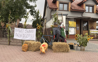Dożynki Gminno - Parafialne w Młynisku 109