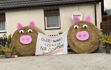 Dożynki Gminno - Parafialne w Młynisku 110