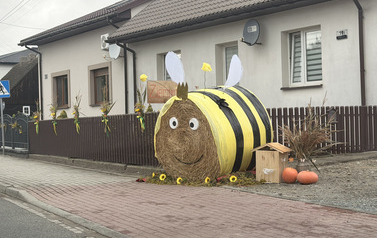 Dożynki Gminno - Parafialne w Młynisku 119