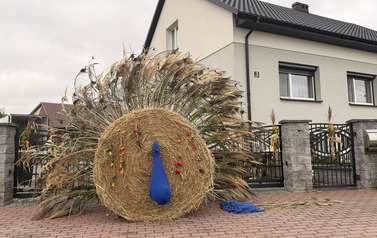 Dożynki Gminno - Parafialne w Młynisku 126