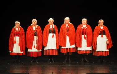 XV Og&oacute;lnopolski Przegląd Zespoł&oacute;w Ludowych ,,Złoty Talizman" 5