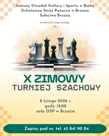 X Zimowy Turniej Szachowy w Brzozie